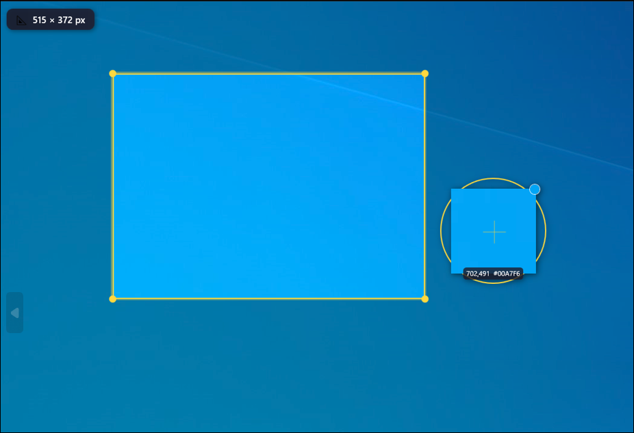 Region Capture — CaptureX Pro